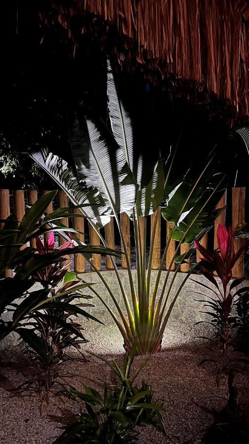 Pousada Pipa Soul Praia de Pipa エクステリア 写真